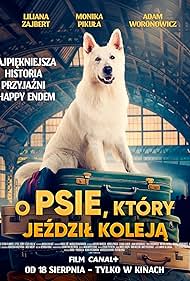 تماشای آنلاین فیلم The Dog Who Travelled by Train - سگ قطارسوار