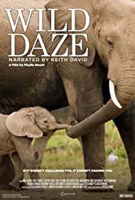 دانلود فیلم Wild Daze سال 2020