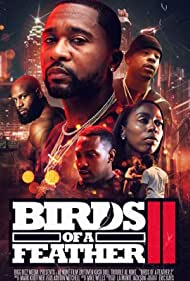 دانلود فیلم Birds of a Feather 2 سال 2018