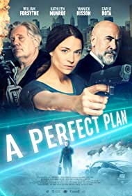 دانلود فیلم A Perfect Plan سال 2020