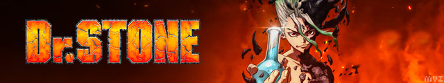 Dr. Stone