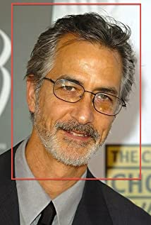 David Strathairn